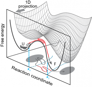 Interaction Pathways and Structure–Chemical Transformations of